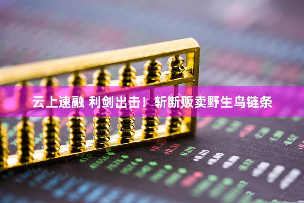 云上速融 利剑出击！斩断贩卖野生鸟链条