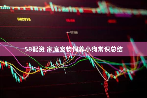 58配资 家庭宠物饲养小狗常识总结