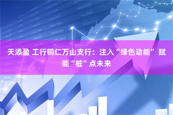 天添盈 工行铜仁万山支行：注入“绿色动能” 赋能“桩”点未来