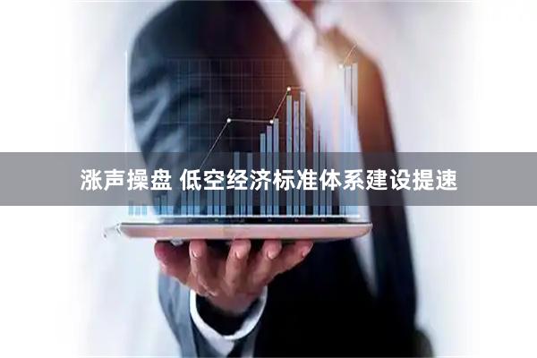 涨声操盘 低空经济标准体系建设提速