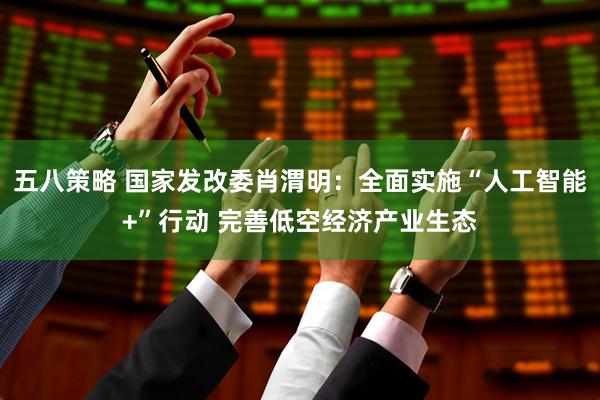 五八策略 国家发改委肖渭明：全面实施“人工智能+”行动 完善低空经济产业生态