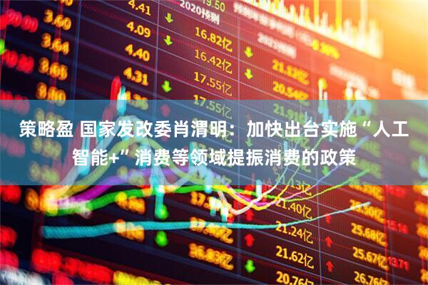 策略盈 国家发改委肖渭明：加快出台实施“人工智能+”消费等领域提振消费的政策