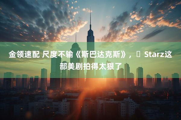 金领速配 尺度不输《斯巴达克斯》，‌Starz这部美剧拍得太狠了